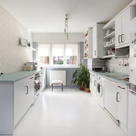 Apartment Lovely In Getxo